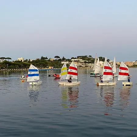 Domus Miliscola 招待所 *