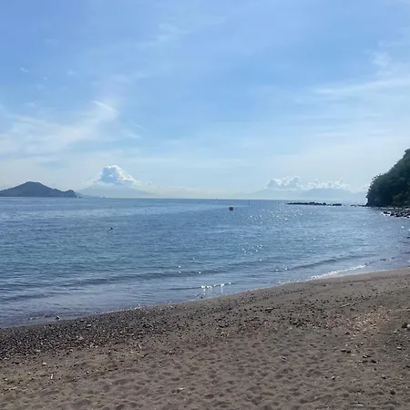 招待所 Domus Miliscola *